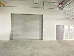 Ct Foodnex (D25), Factory #488220551